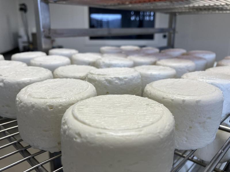 Les Merveilles de Marine - Producteur de fromages de chèvre à Chozeau proche de Crémieu - Balcons du Dauphiné