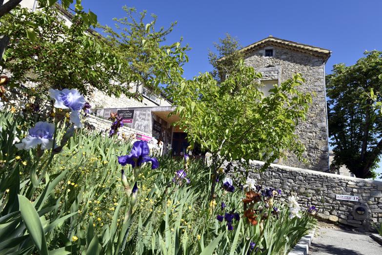 Jardin de mûriers et d'iris bordant le musée vivant du ver à soie