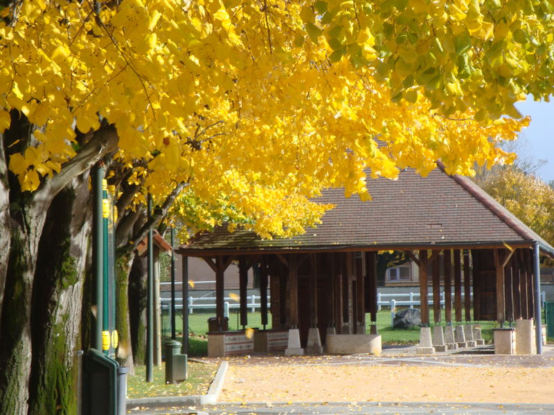 Vieille Halle de Frans