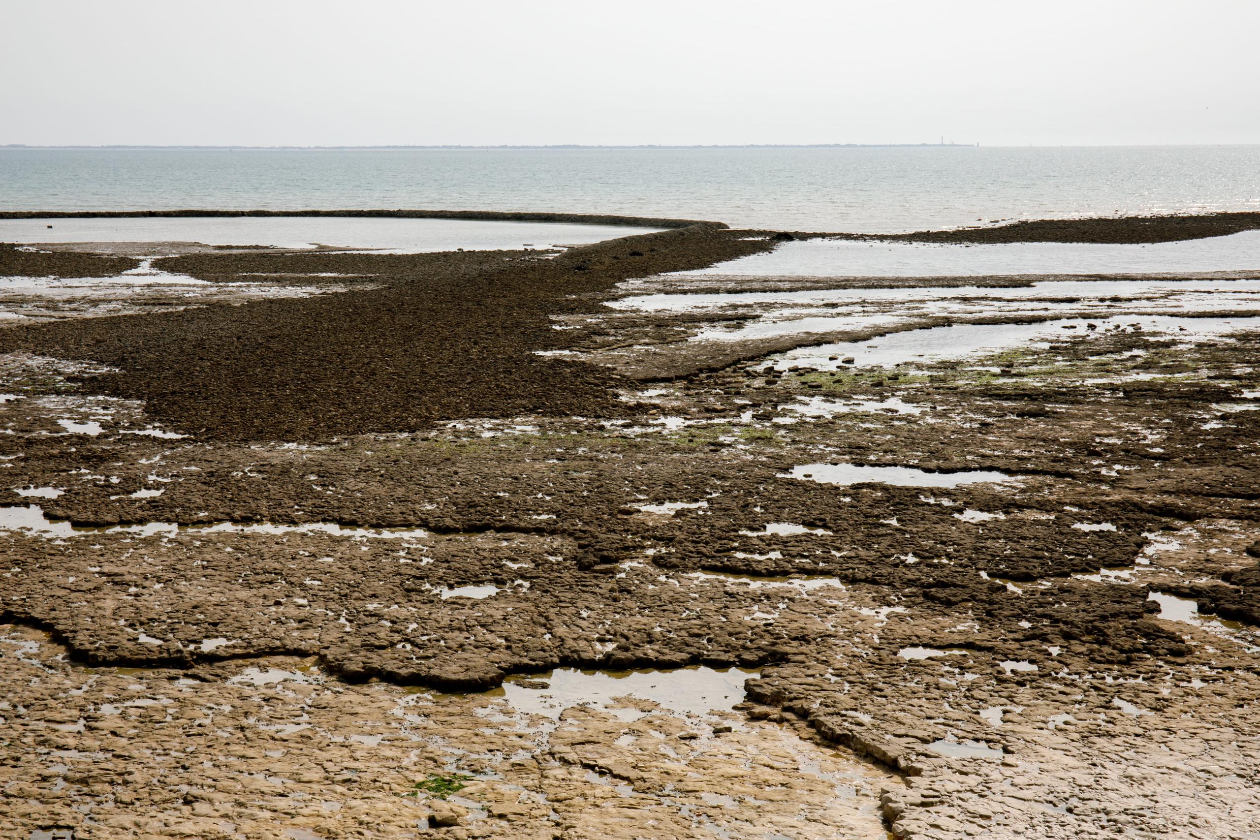La Noue : village, venelles et océan