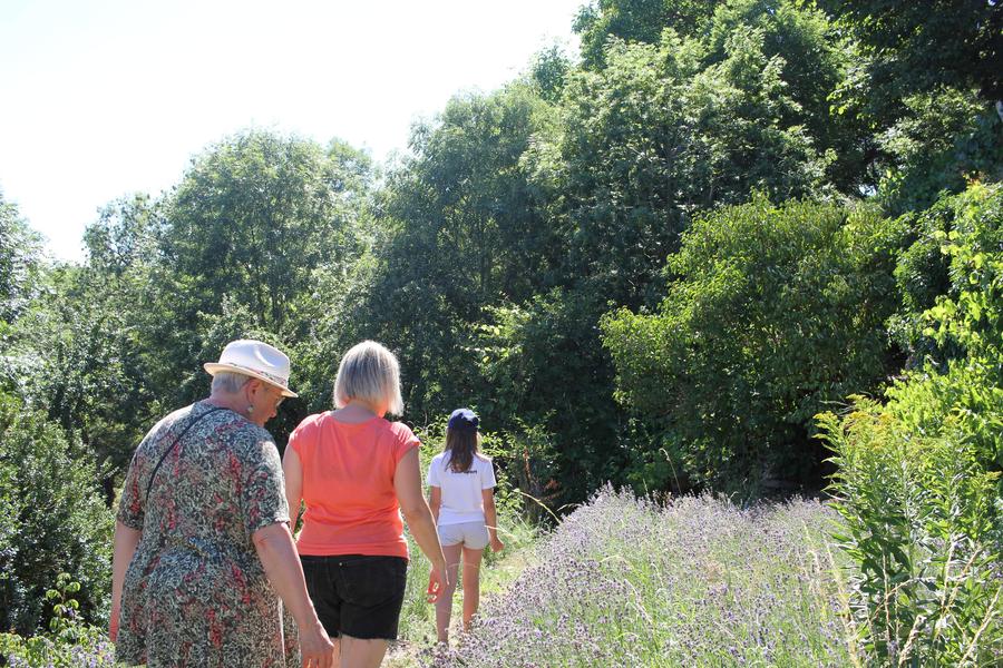 Viste de Jardins et dégustation