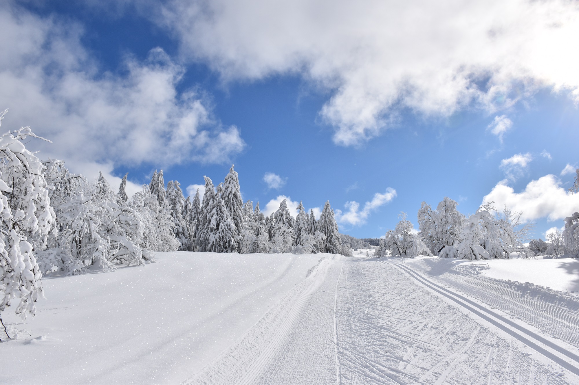 Piste verte de ski de fond du Plateau de Retord : La Vezeronce