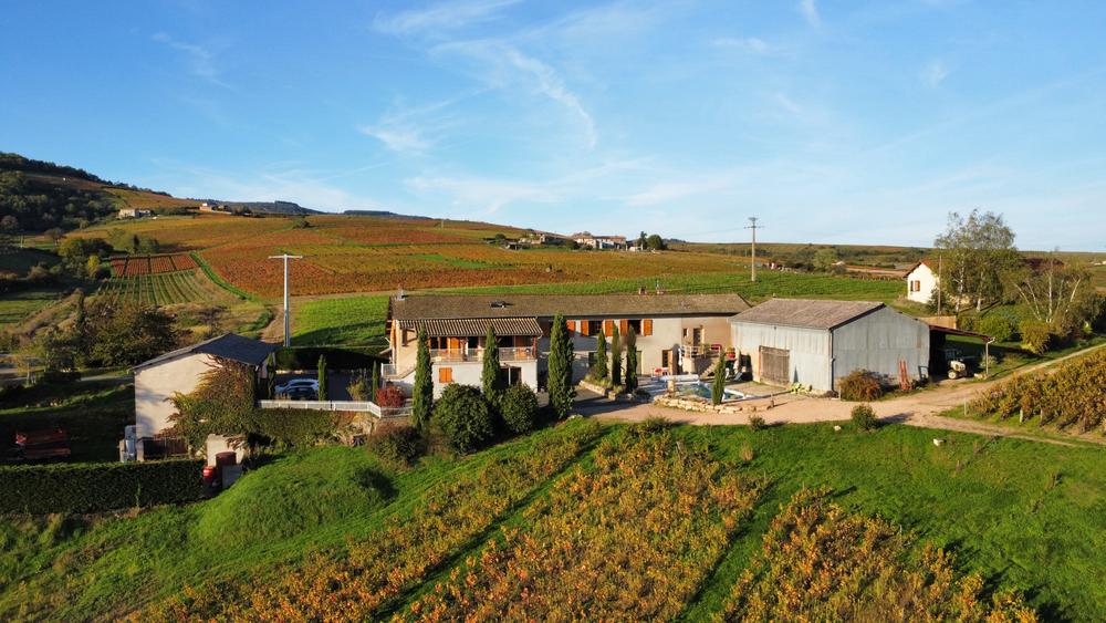 Vue aérienne du domaine viticole