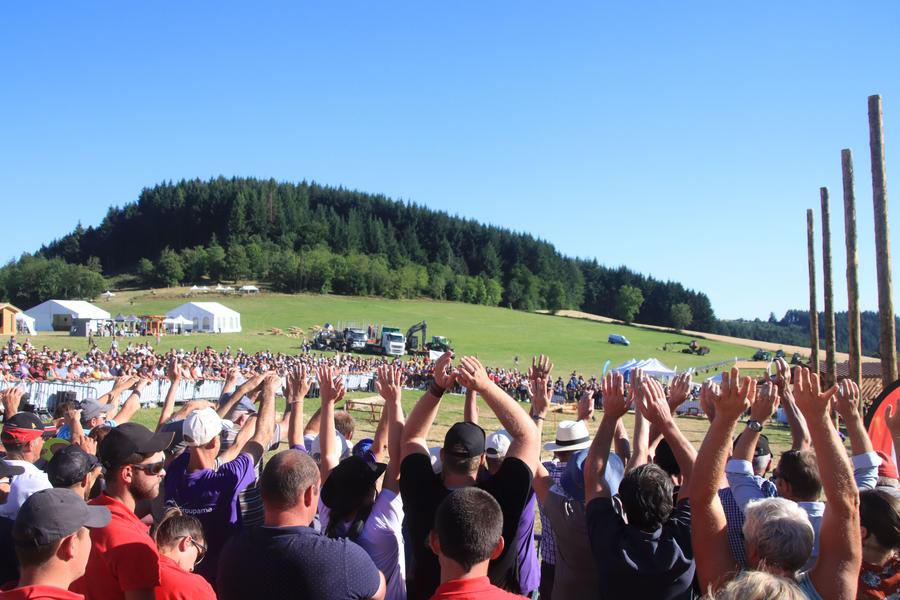 Grande Fête de la Forêt et du Bois