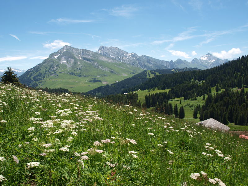 Plateau de Beauregard