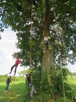 Les Rendez-Vous Nature - Grimpe dans les arbres_Vivans