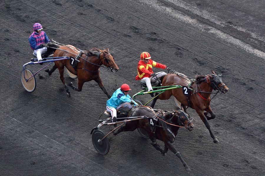 Une course à l'Hippodrome 