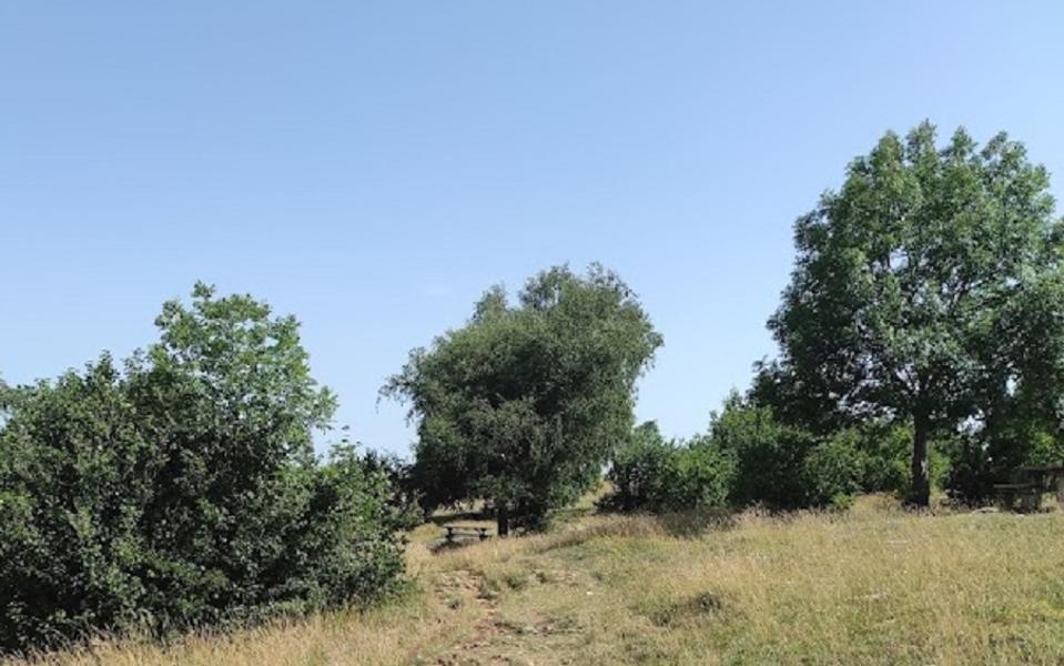 Table pique-nique Observatoire