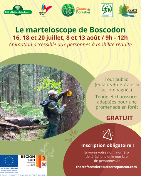 Graine de forestier, le marteloscope de Boscodon_Crots