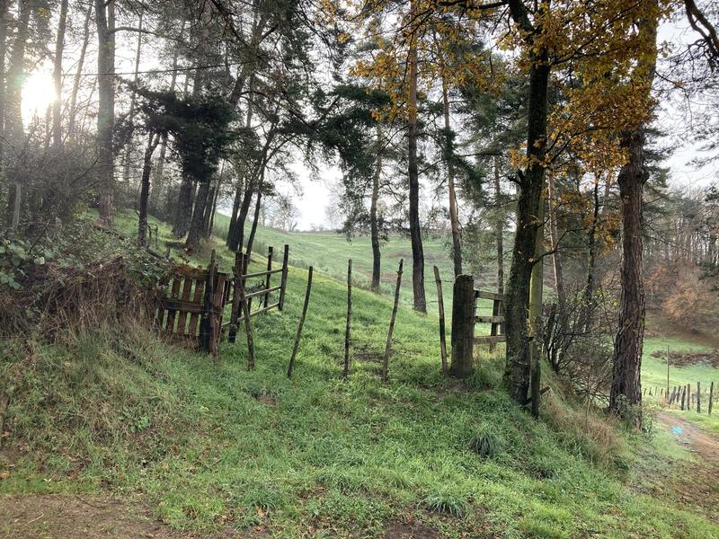 Sentier des moulins_Saint-Médard-en-Forez
