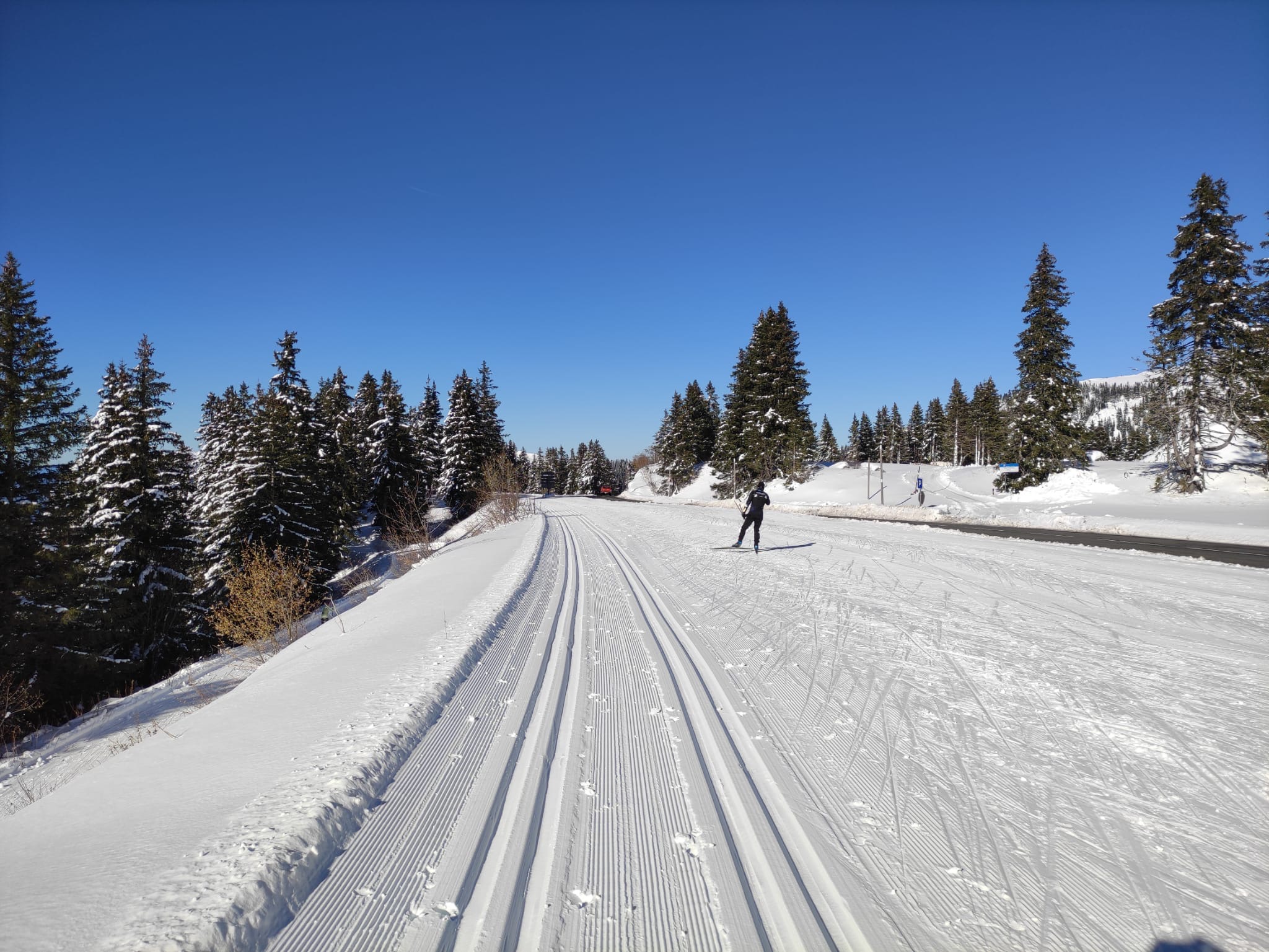 The green trail near the road leading to Flaine