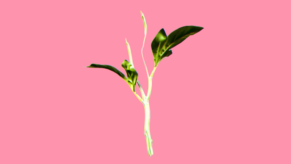 Exposition : Verdes Anos (Années Vertes)_Aix-en-Provence