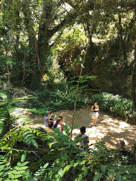 Jardin d'Asie subtropicale