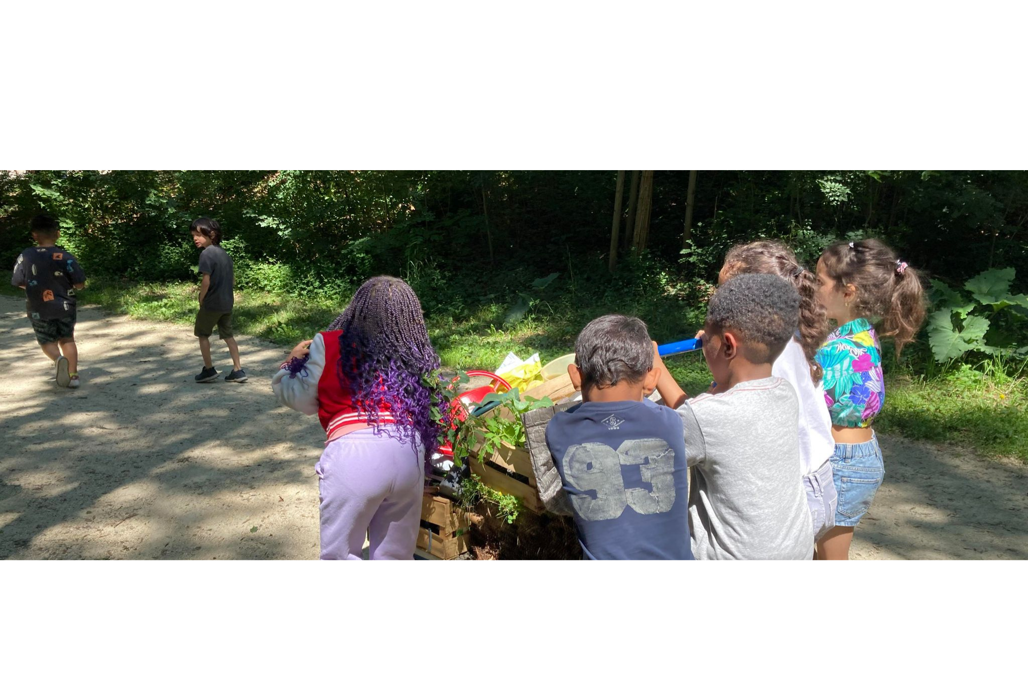 Atelier famille - A la découverte des plantes comestibles_Grenoble