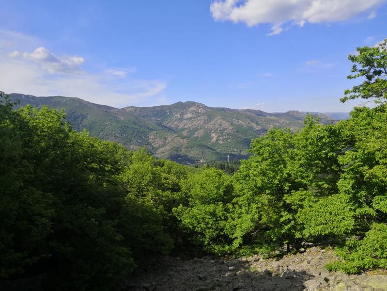 La Souche - Le Mont Aigu 4 ©M.Barkats