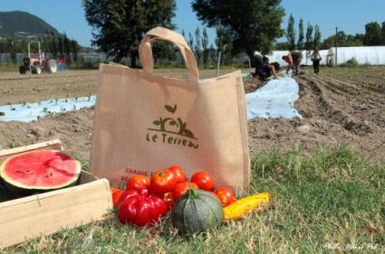 Découverte de Baix et rencontre de lassociaiton Le Terreau_Baix
