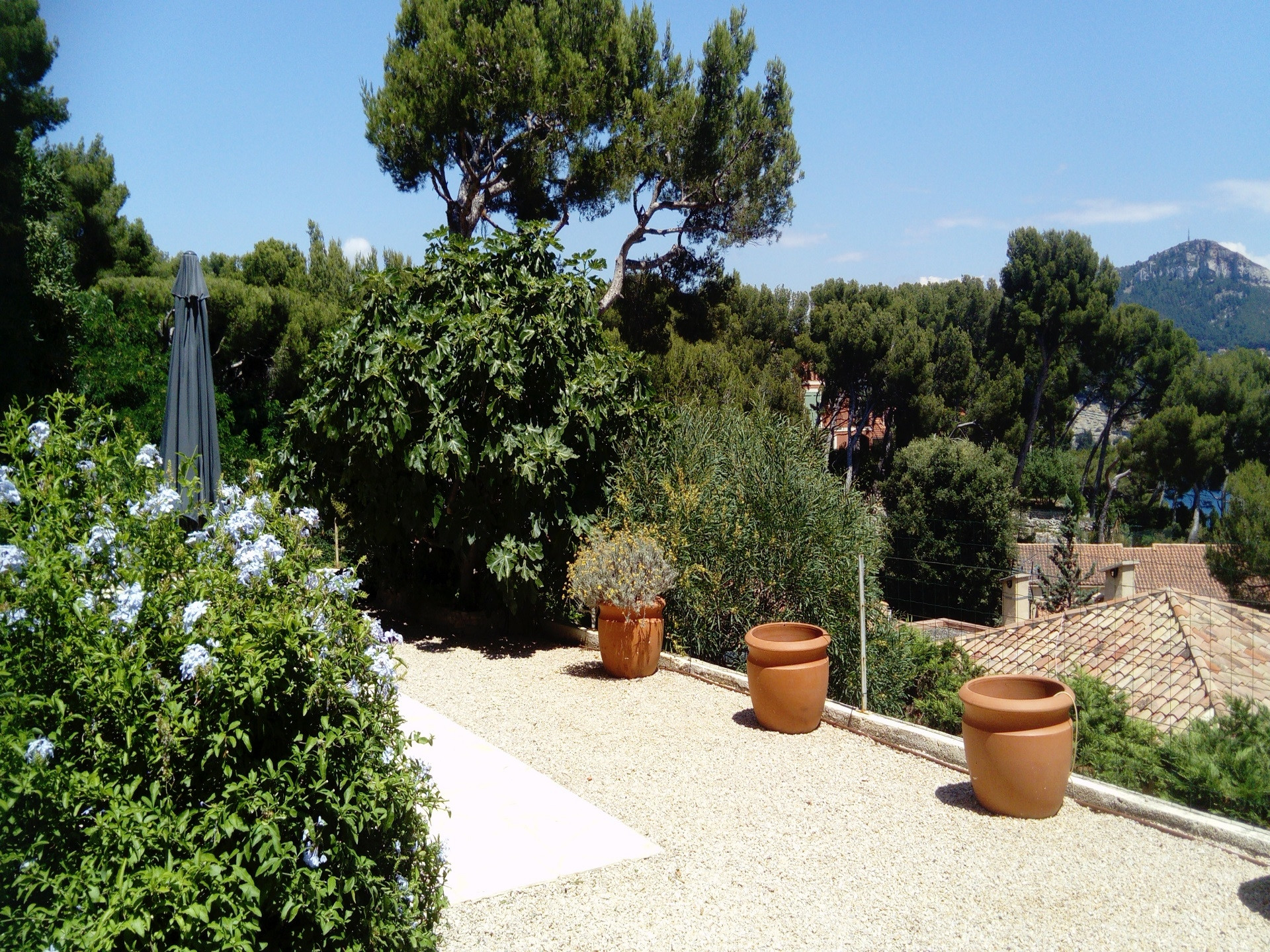 Un Jardin sur la MER