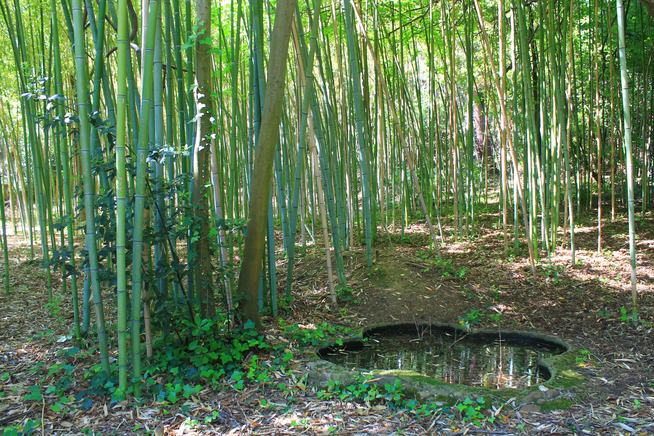 Découverte des Calanques - photo 5