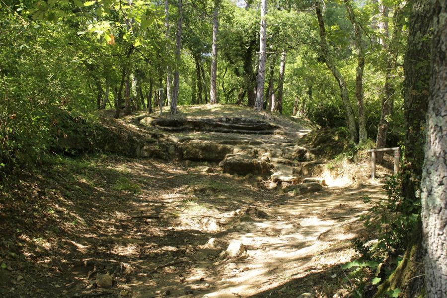 Bois de Sizay