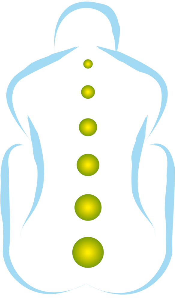 M.SCHOTT Arthur - Ostéopathe