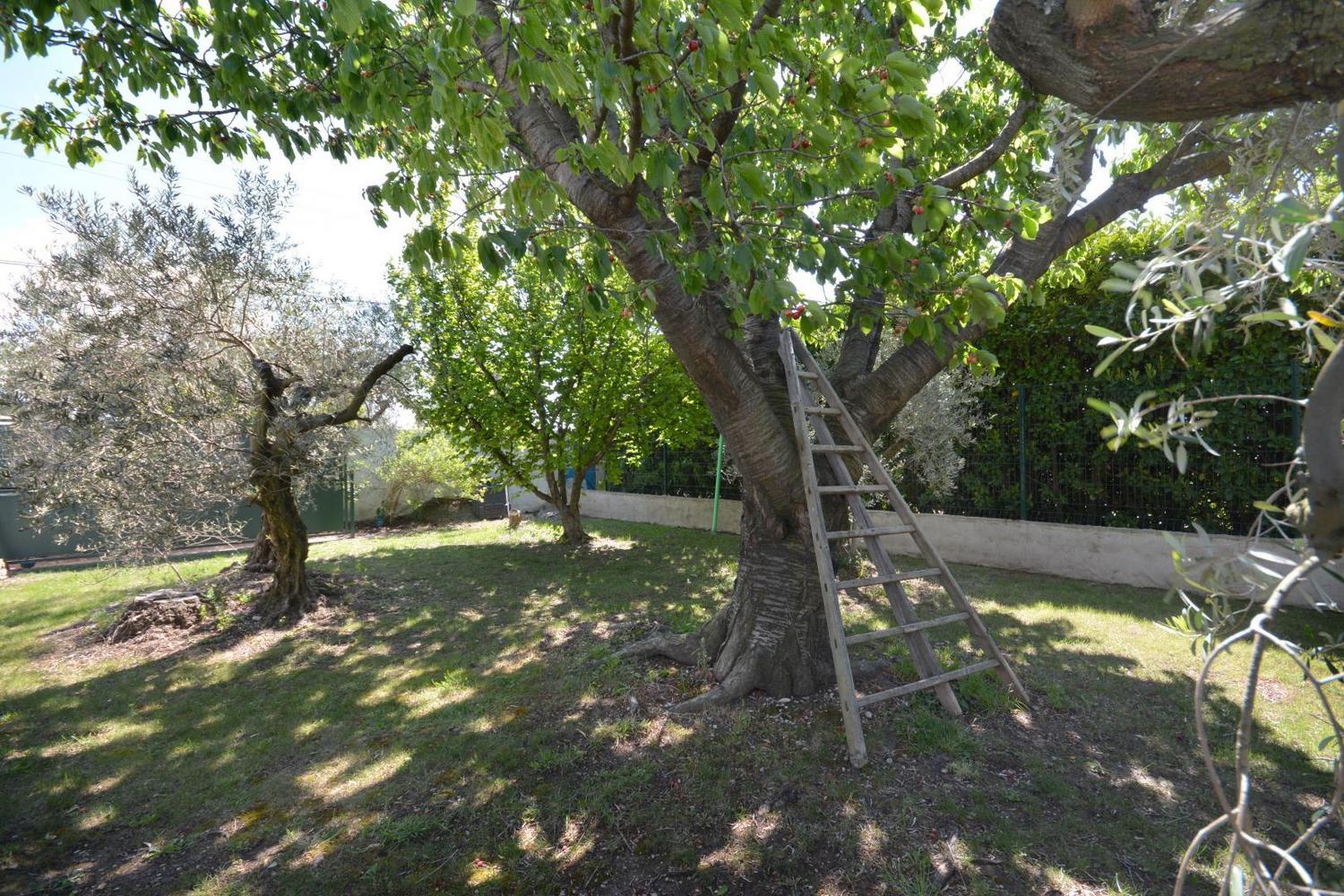 Lou Beruguet, Mouriès - photo 31