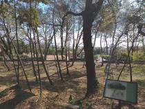 Parc naturel de L'Ermitage - Villeneuve-Loubet