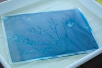Impression eau et lumière - atelier cyanotype_Grenoble