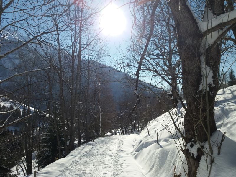 Randonnée en raquettes Montsapey