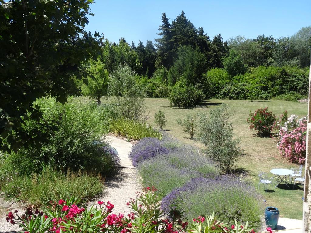 Le nid de la Huppe, Noves - photo 2