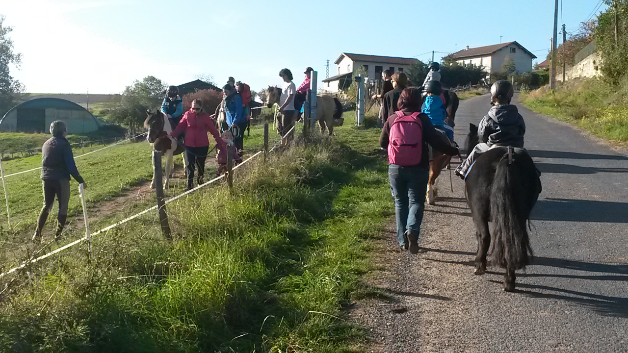 Chasse aux oeufs à dos de poney
