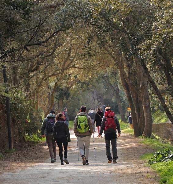Randonneurs à Porquerolles