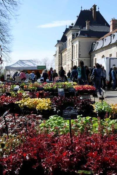 Les plantes à la fête des plantes de Printemps 2026, à Saint-Jean-de-Beauregard