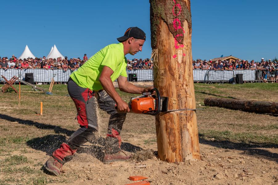 Grande Fête de la Forêt et du Bois