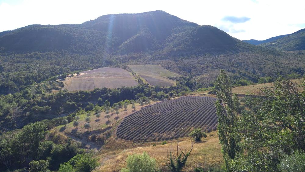 Les balades curieuses