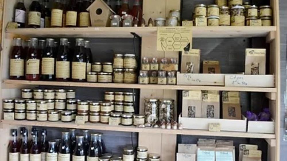 Visite du sentier biodiversité de la Ferme de Brameloup - Les Échappées Estivales