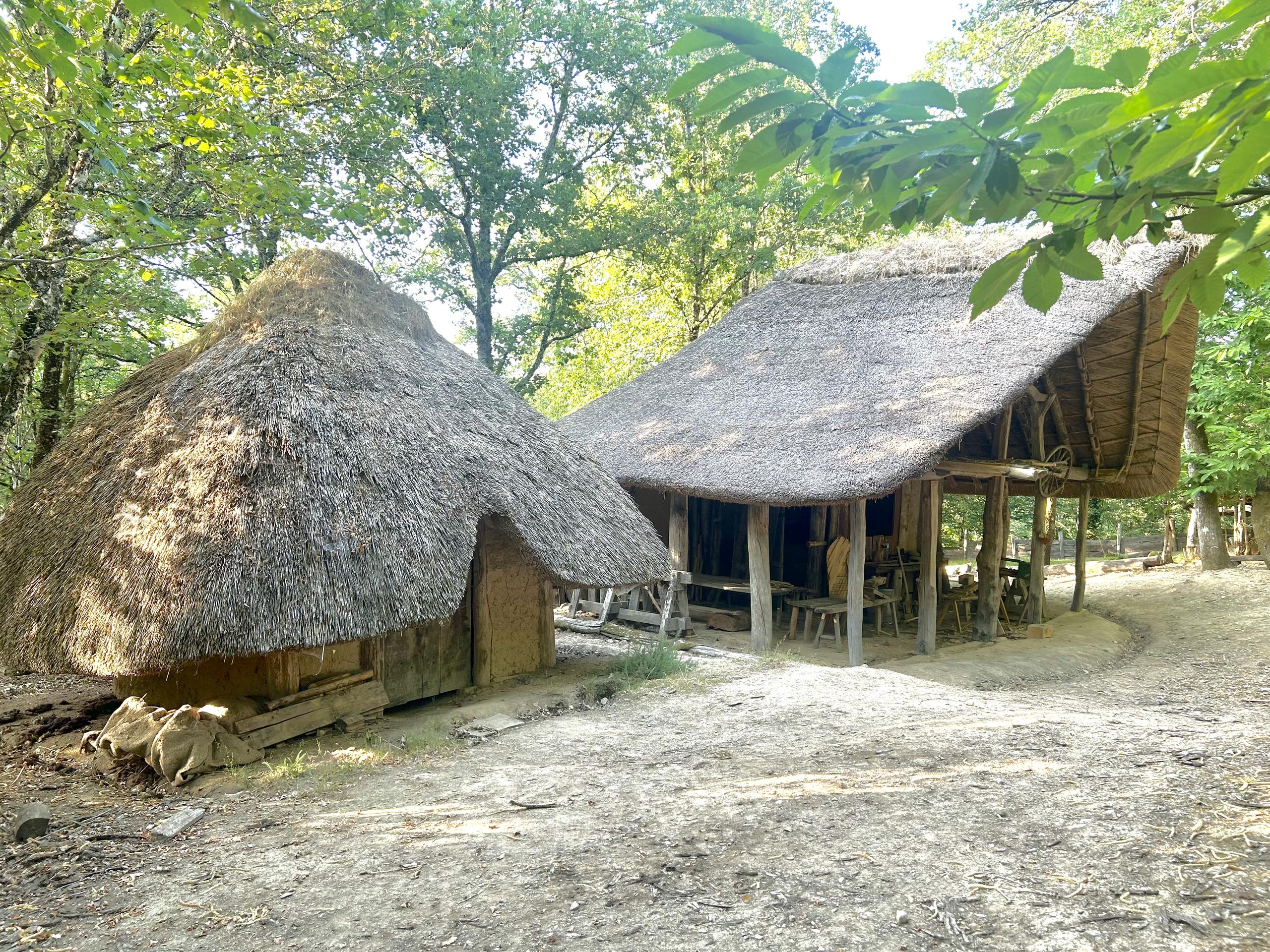 Village animé par les artisans et guerriers