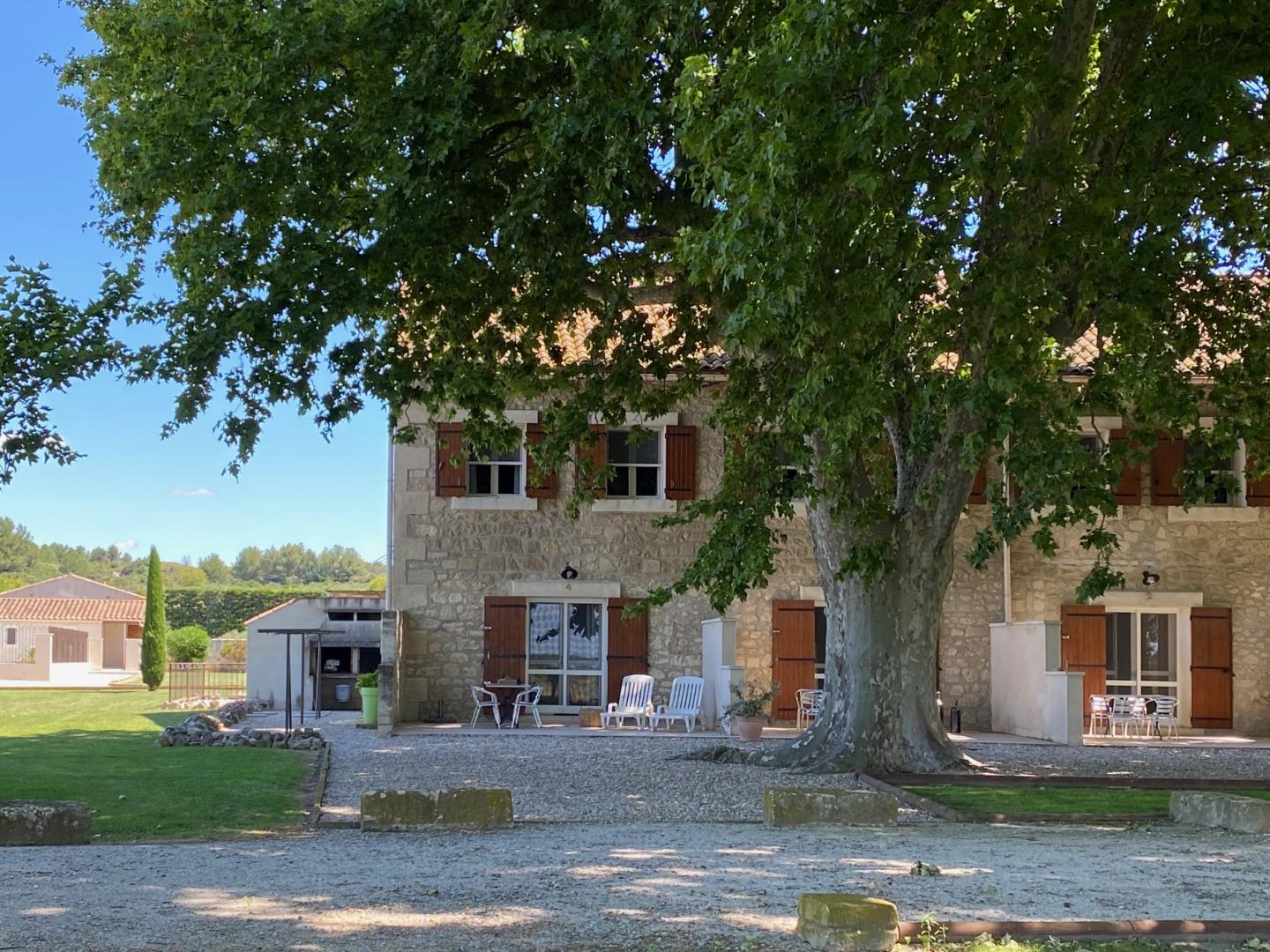 Lavande, Fontvieille - photo 5