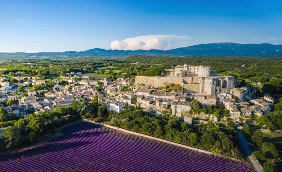 Vue aérienne château et lavandes