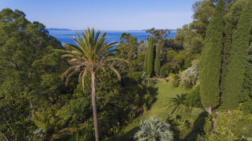 Jardin d'Amérique subtropicale