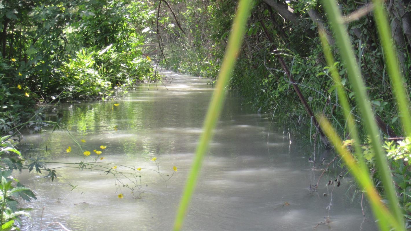 Les Lavandes, Lamanon - photo 5