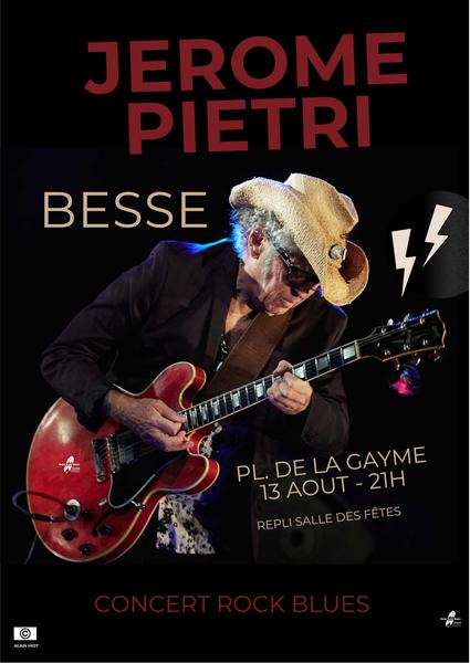 Slide guitar ( Duane Allman style ). Humbucker Seymour Duncan Antiquity neck .