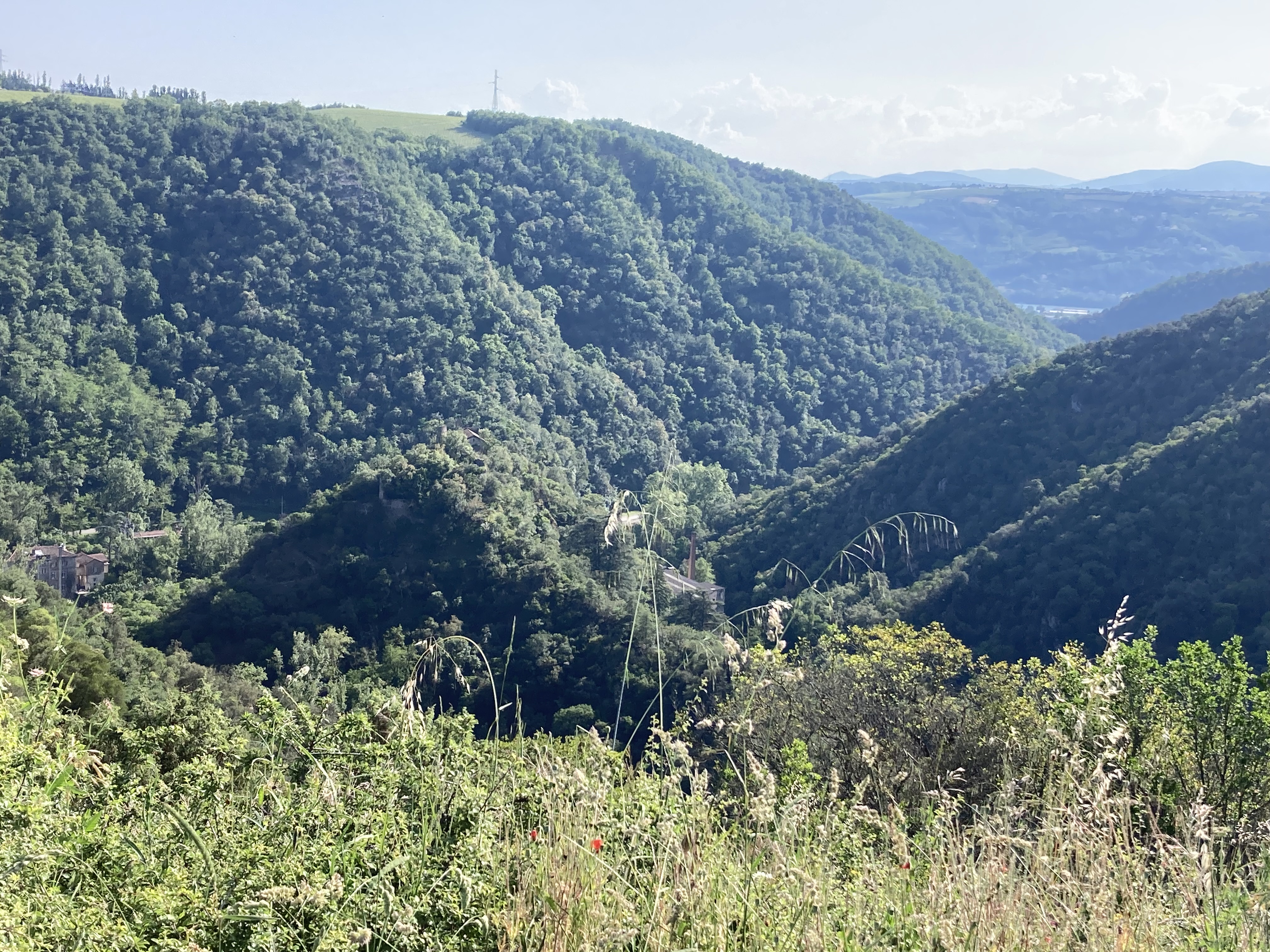 Les collines de la Drôme