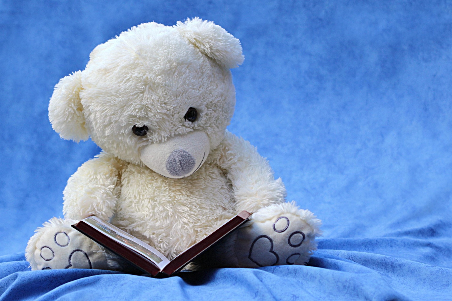 Bébé lecteur_Fleurance