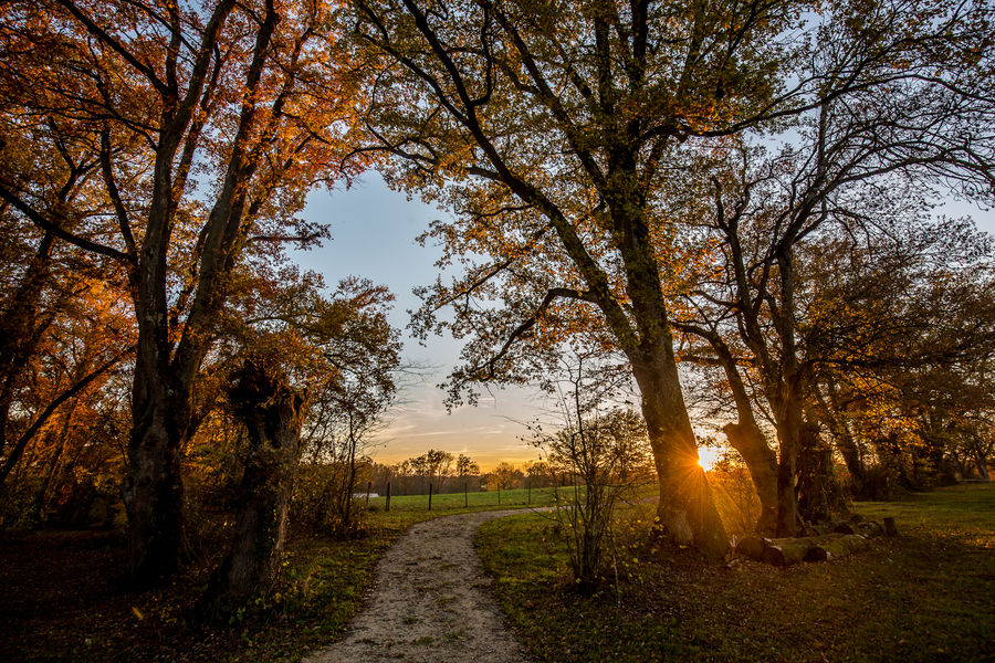 Espace naturel sensible du Sougey