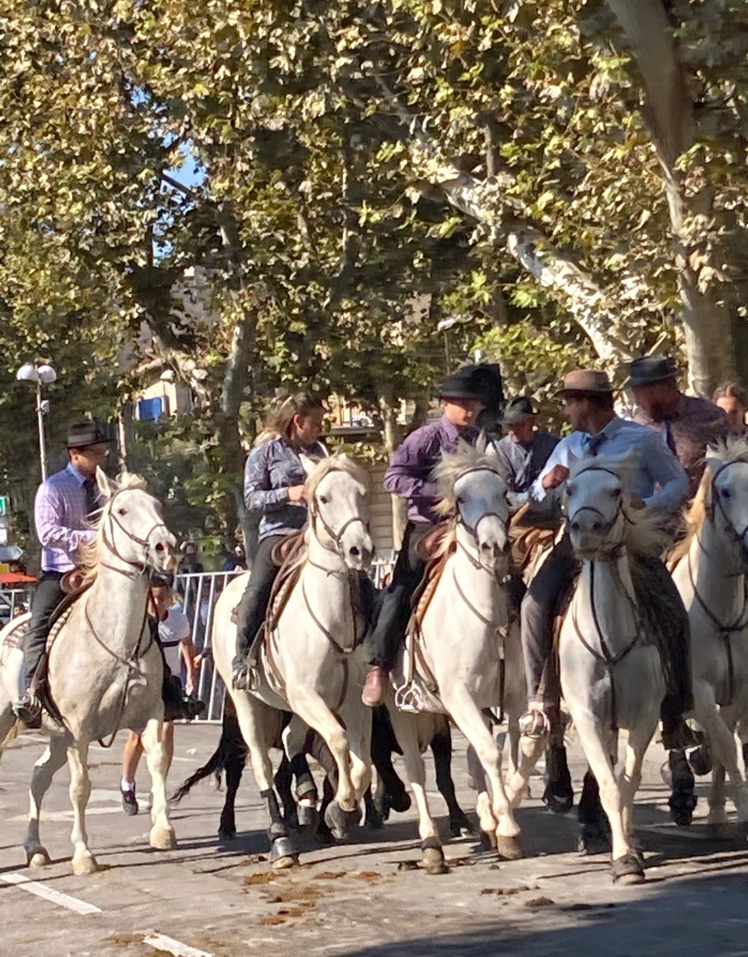Mas des Oliviers, Arles - photo 20