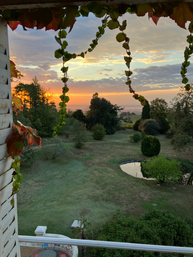 Vue parc Château Bellevue