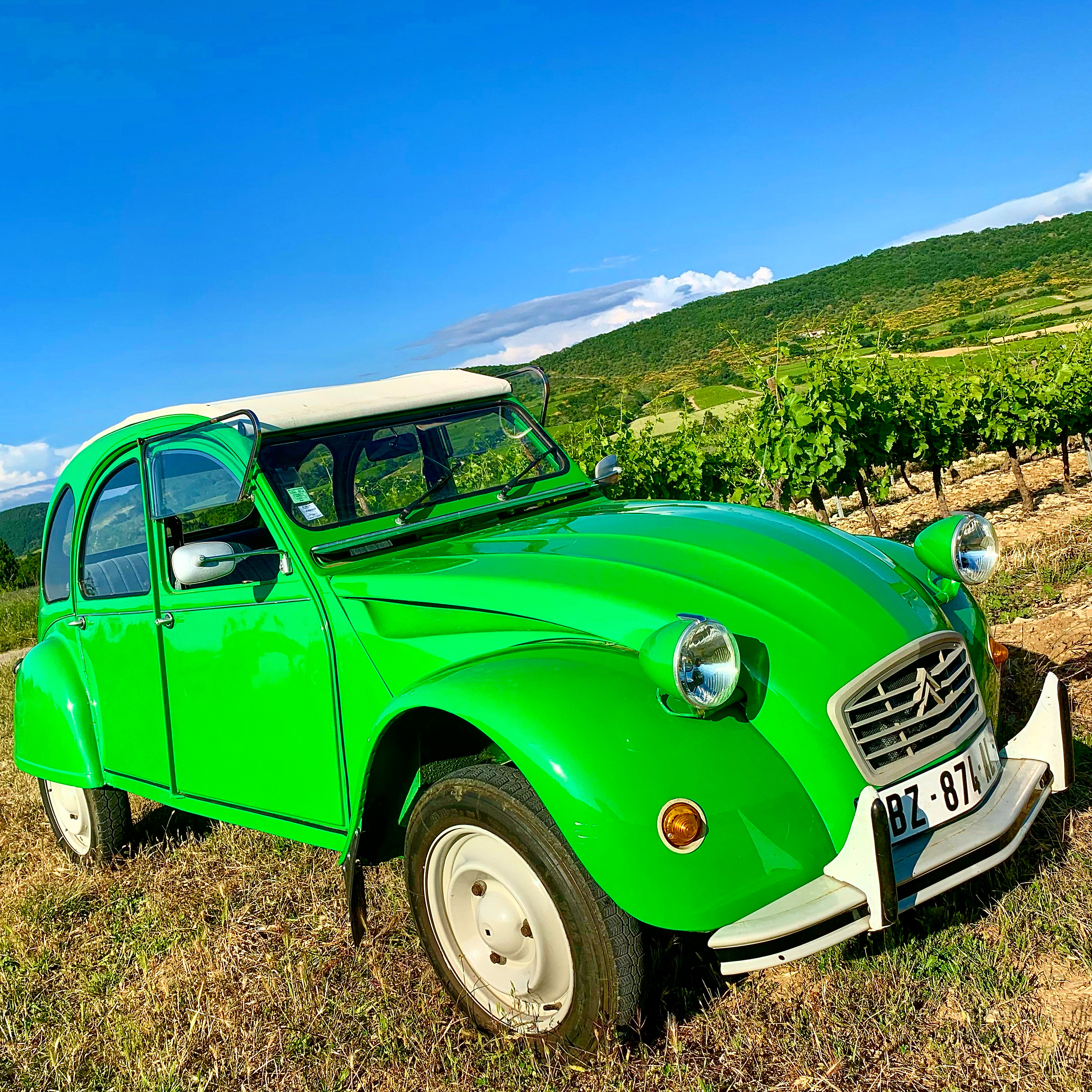 Balade en 2 CV et découverte du Domaine du Mas d'Intras