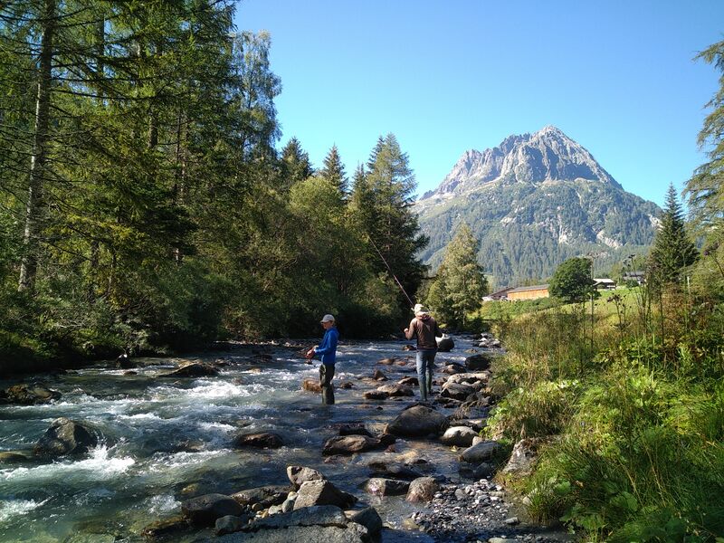 Appât naturel en rivière