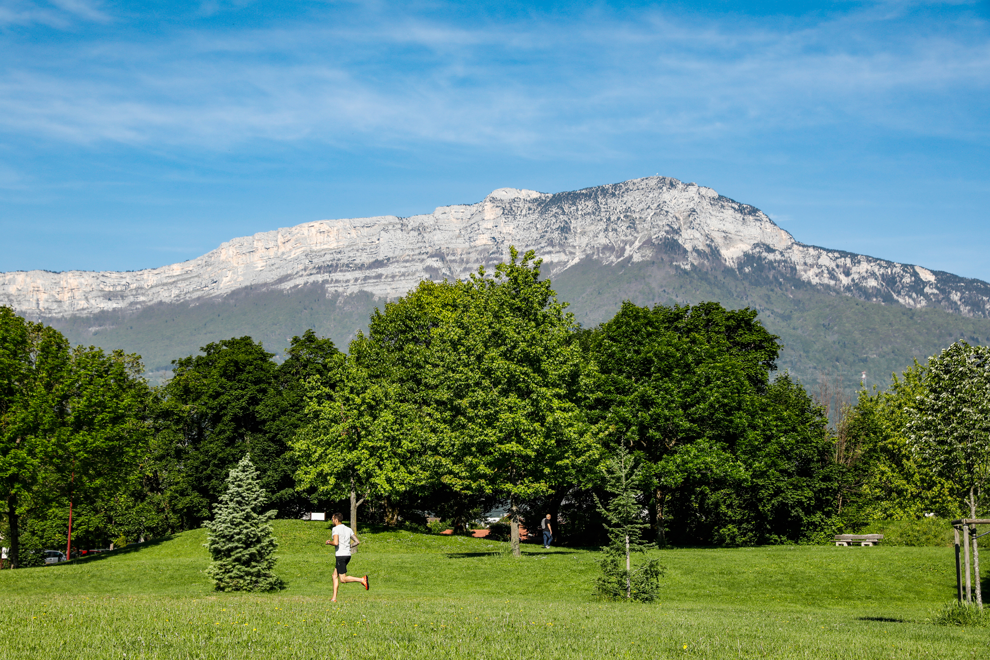 Frange Verte - L'étang de Haute-Jarrie