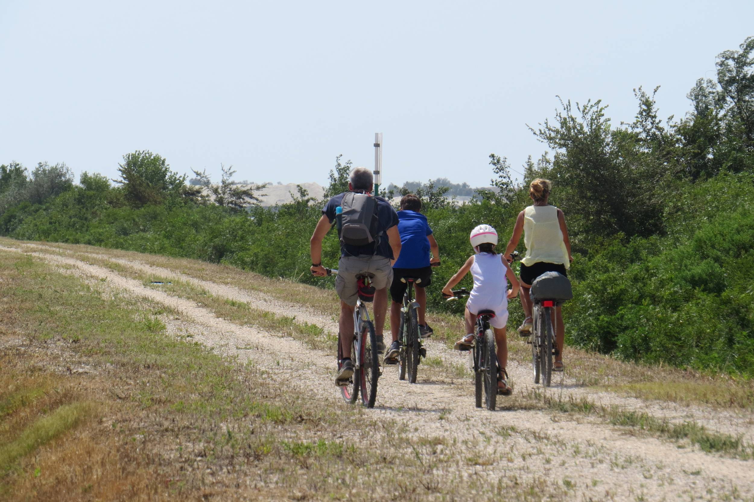 SALIN-DE-GIRAUD - PORT-SAINT-LOUIS - Sur les rives du Rhône à vélo — photo 3